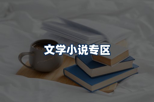 文学小说PDF展示